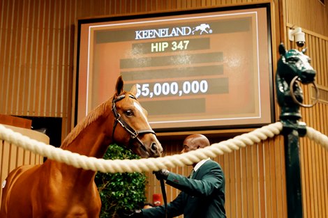 Led by Yearlings, Average Price Increases Across Market